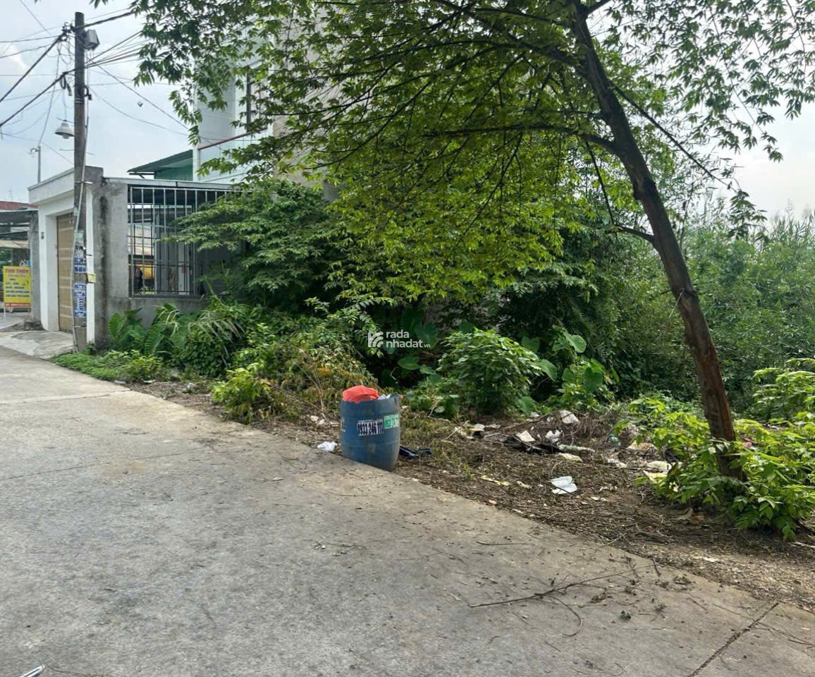 Bán nền 5x20m KDC An Hạ, Bình Chánh. Giá 2,35 tỷ