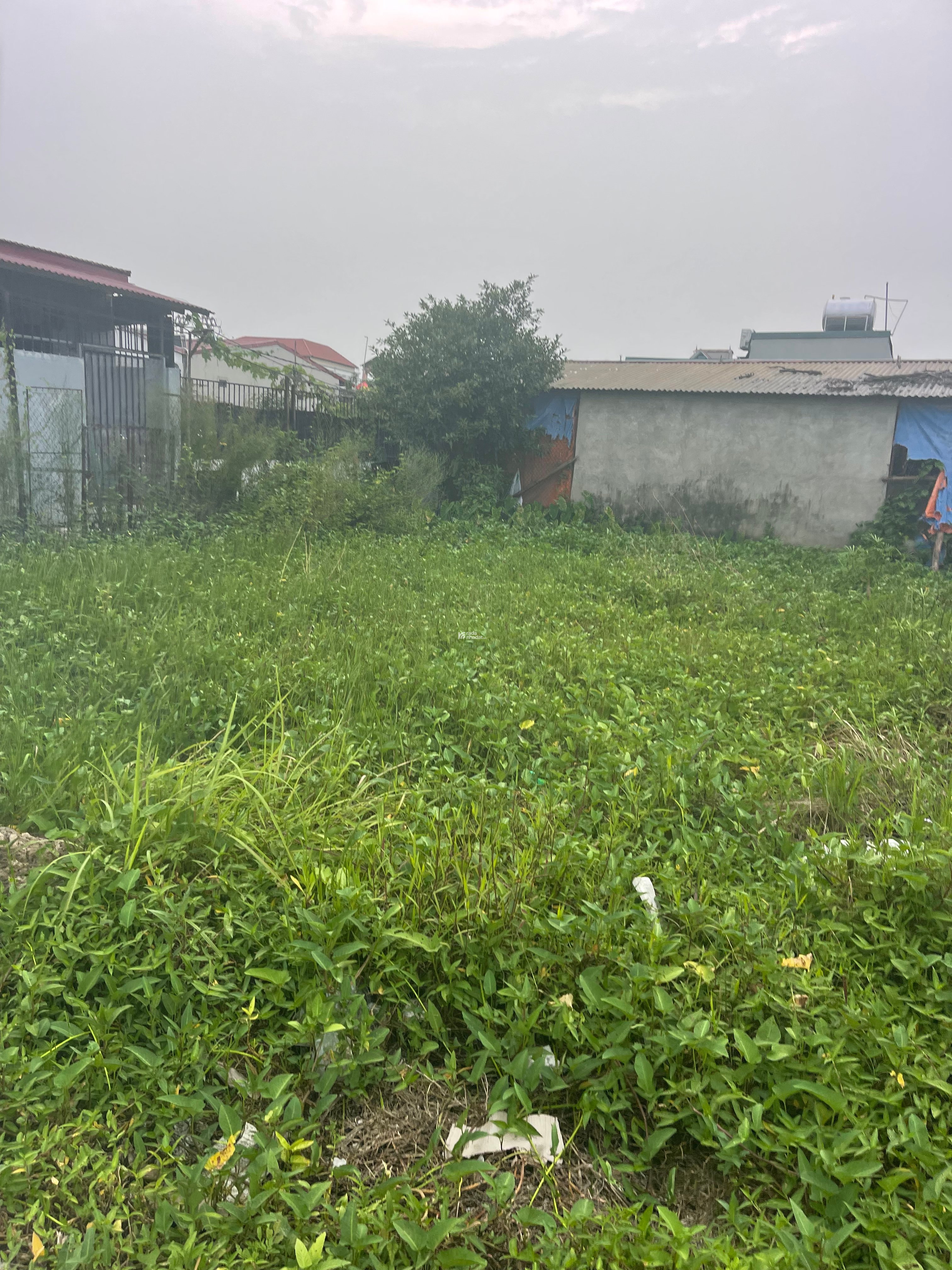 ĐẤT CHÍNH CHỦ - SẴN SÀNG GIAO ĐỊCH: Ngõ 18 thôn Siêu Quần - Tả thanh