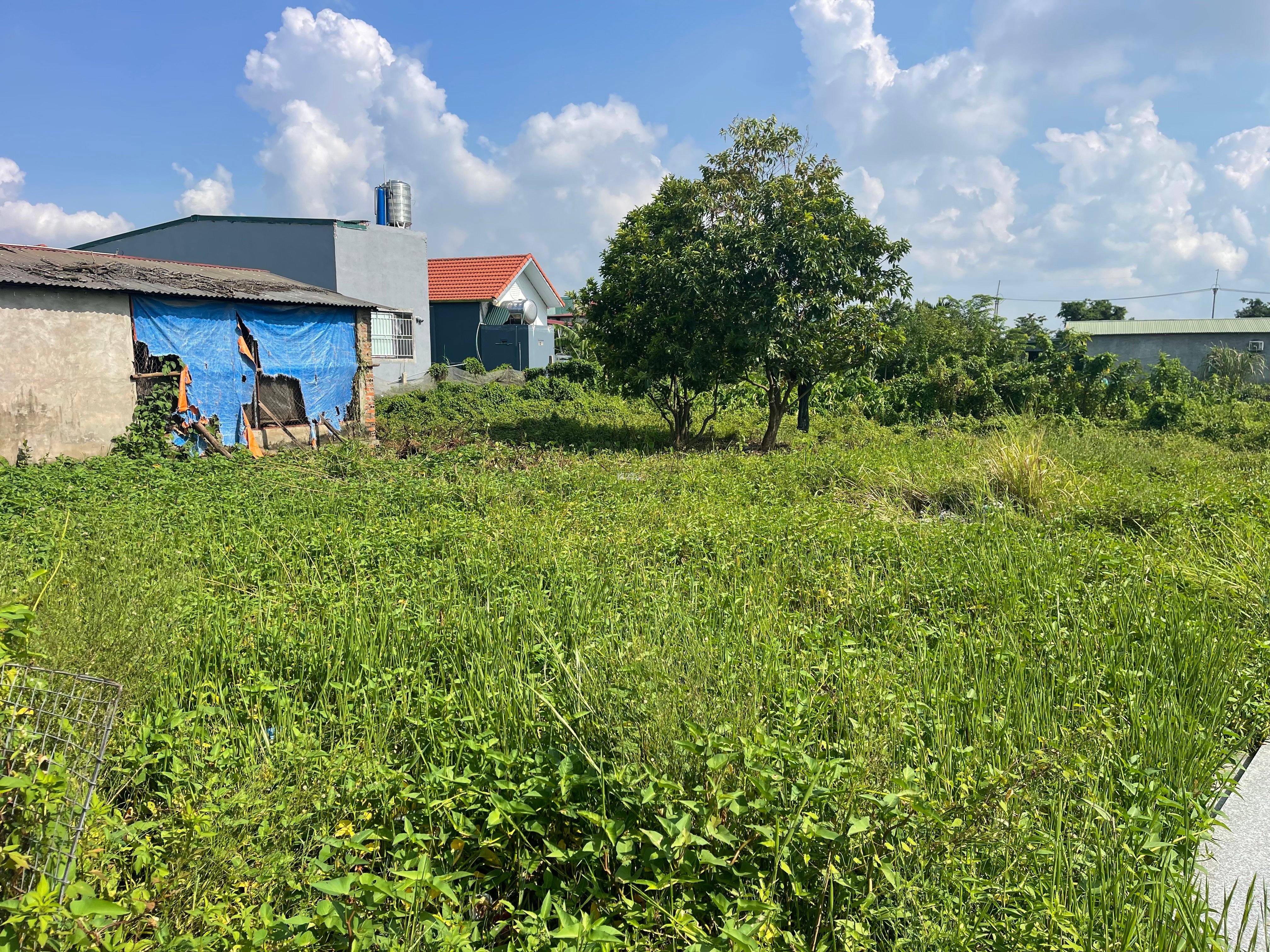 ĐẤT CHÍNH CHỦ - SẴN SÀNG GIAO ĐỊCH: Ngõ 18 thôn Siêu Quần - Tả thanh