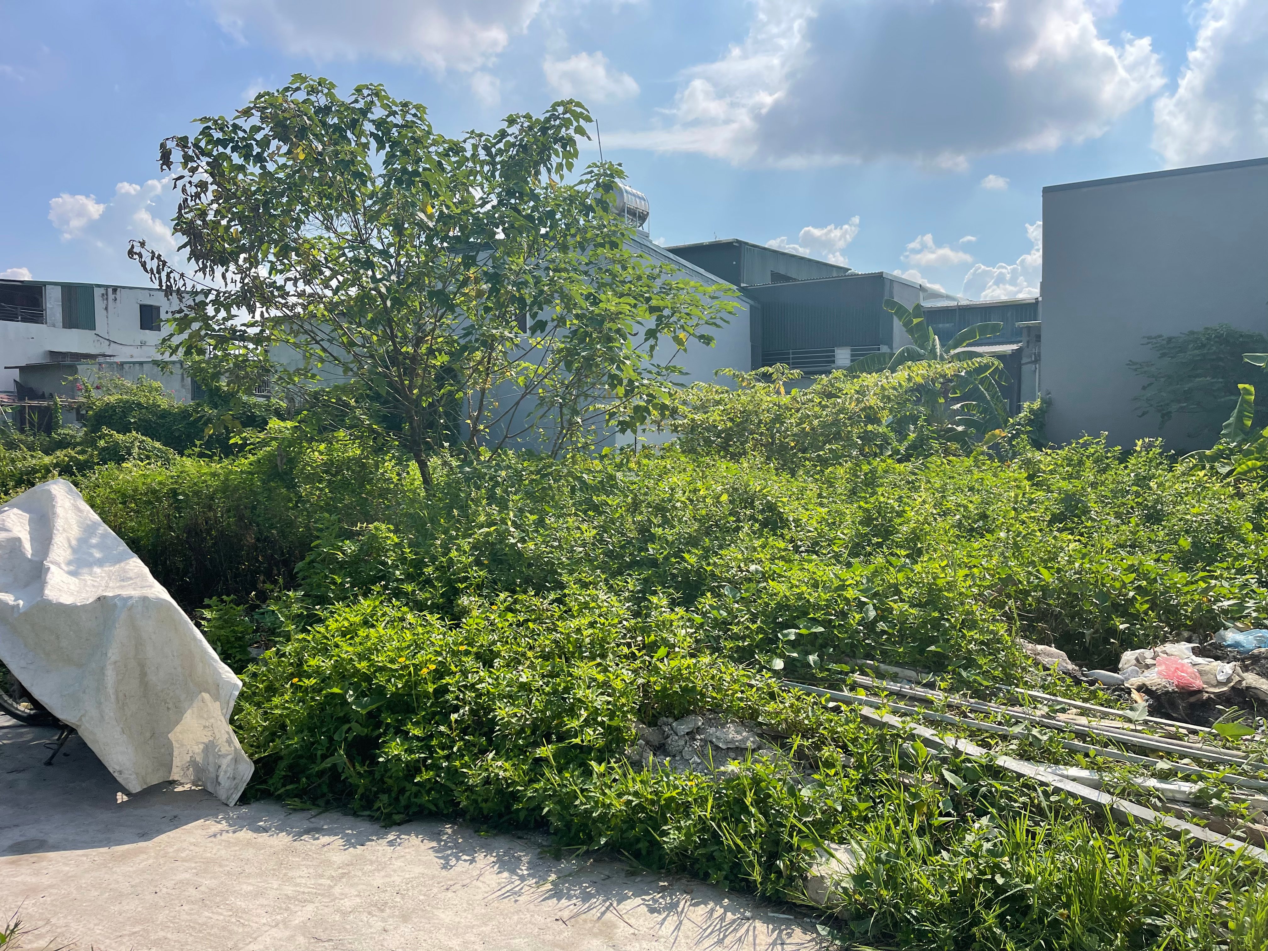 ĐẤT CHÍNH CHỦ - SẴN SÀNG GIAO ĐỊCH: Ngõ 18 thôn Siêu Quần - Tả thanh