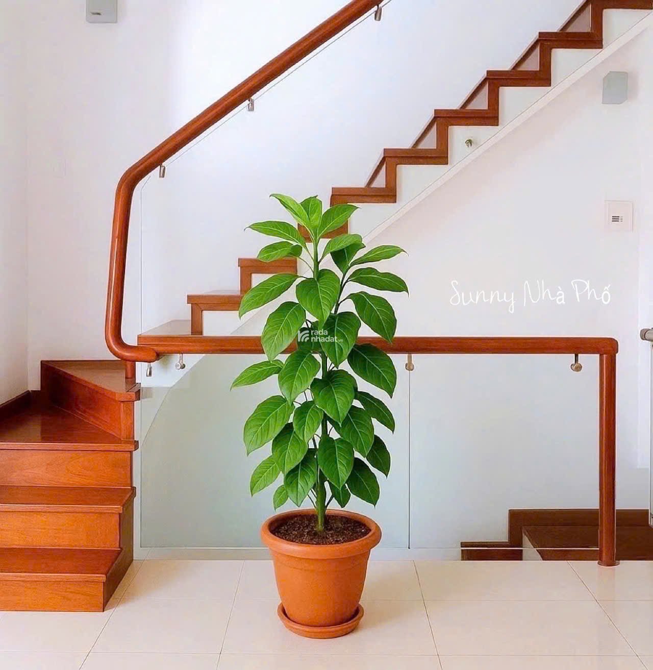 Bán nhà Hẻm Xe hơi Cách Mạng Tháng Tám - QUẬN 3 - Diện tích 5.5 x 19 m - Giá 25 tỷ