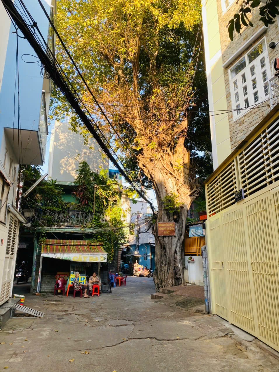 HOT Bán nhà cấp 4, HXH 257/ Lê Quang Định, P7, Bình Thạnh (Hẻm 251)