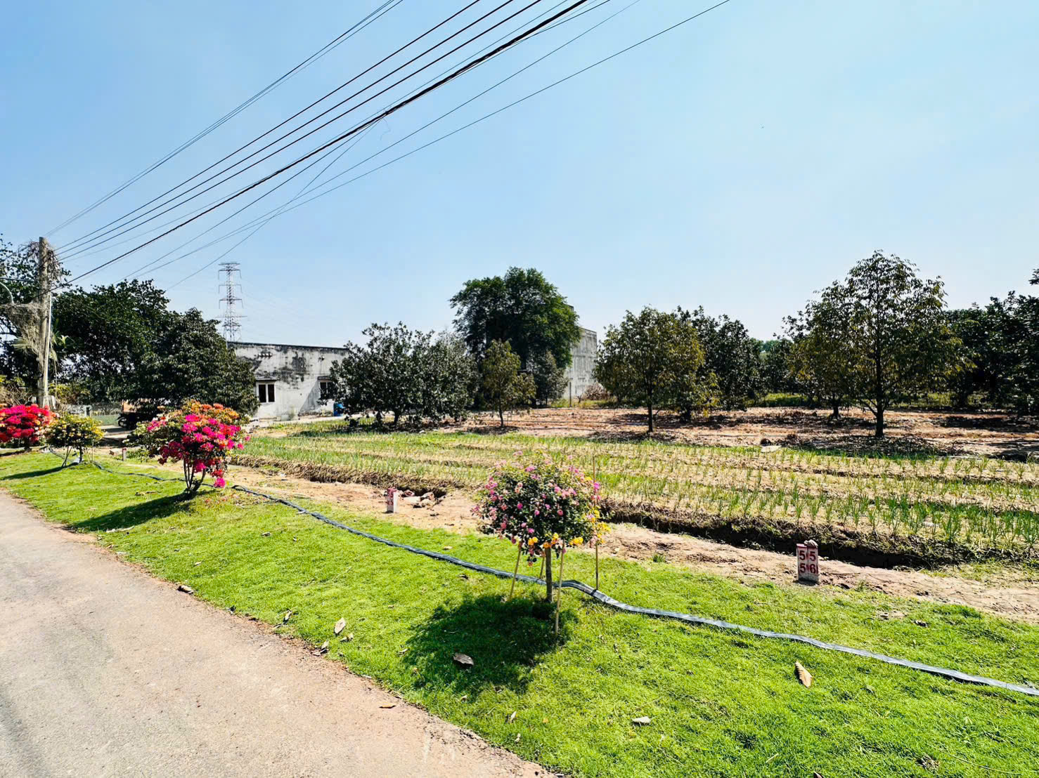 250m2 trừ văn thố tpHCM gần ngay trường học và chợ 