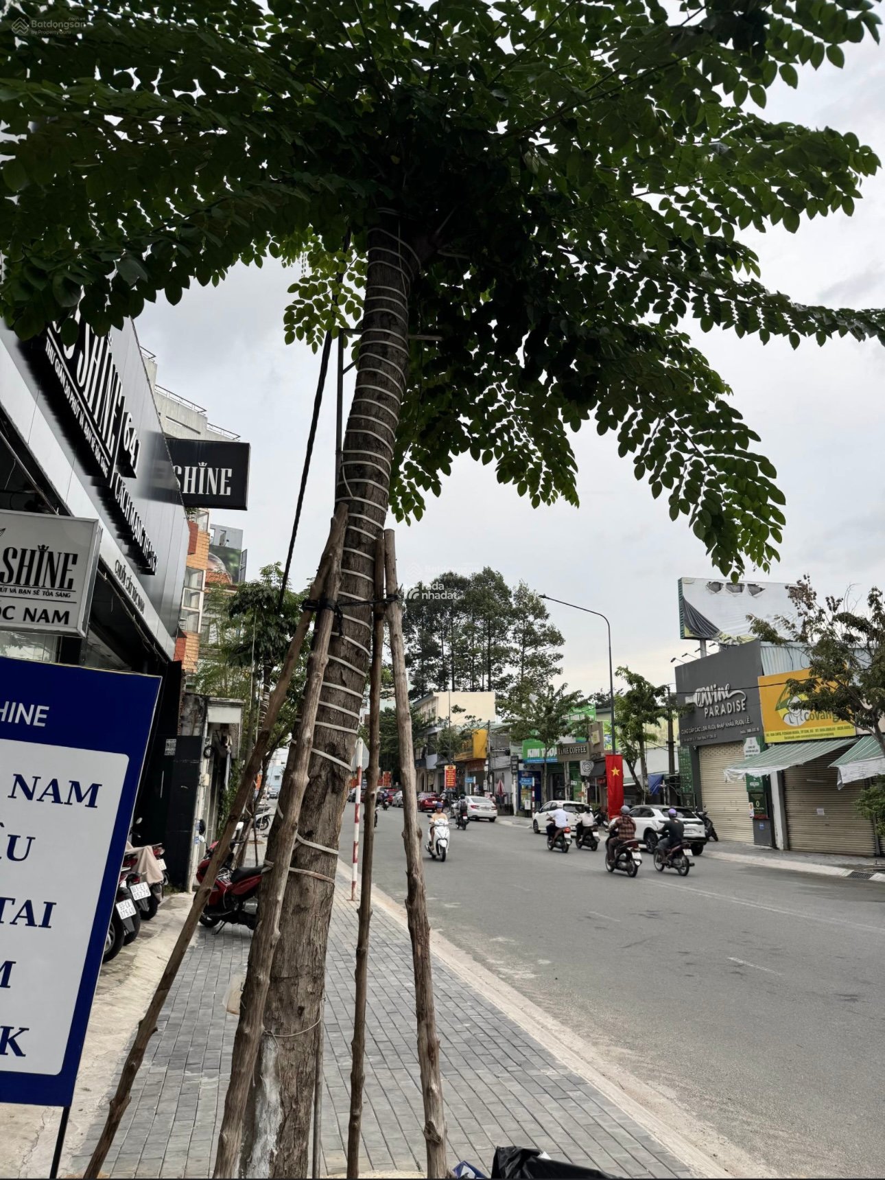 Chính chủ cần bán đất mặt tiền đường CMT8