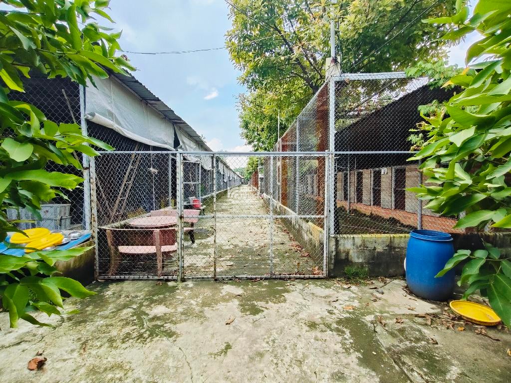 KHU NHÀ ĐẸP LUNG LINH, SÂN VƯỜN RỘNG LỚN, TRẠI THÚ ĐỘC LẠ, 3461m2; 24,5 TỶ.