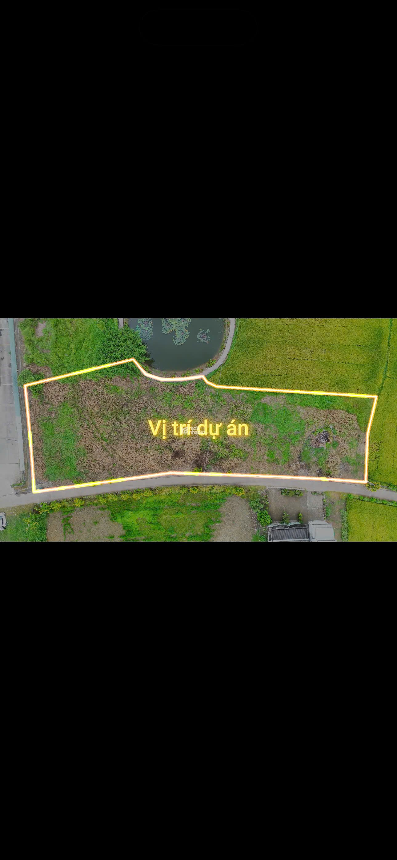 Đất nền Bến Lức Long An - phù hợp mọi nhu cầu 