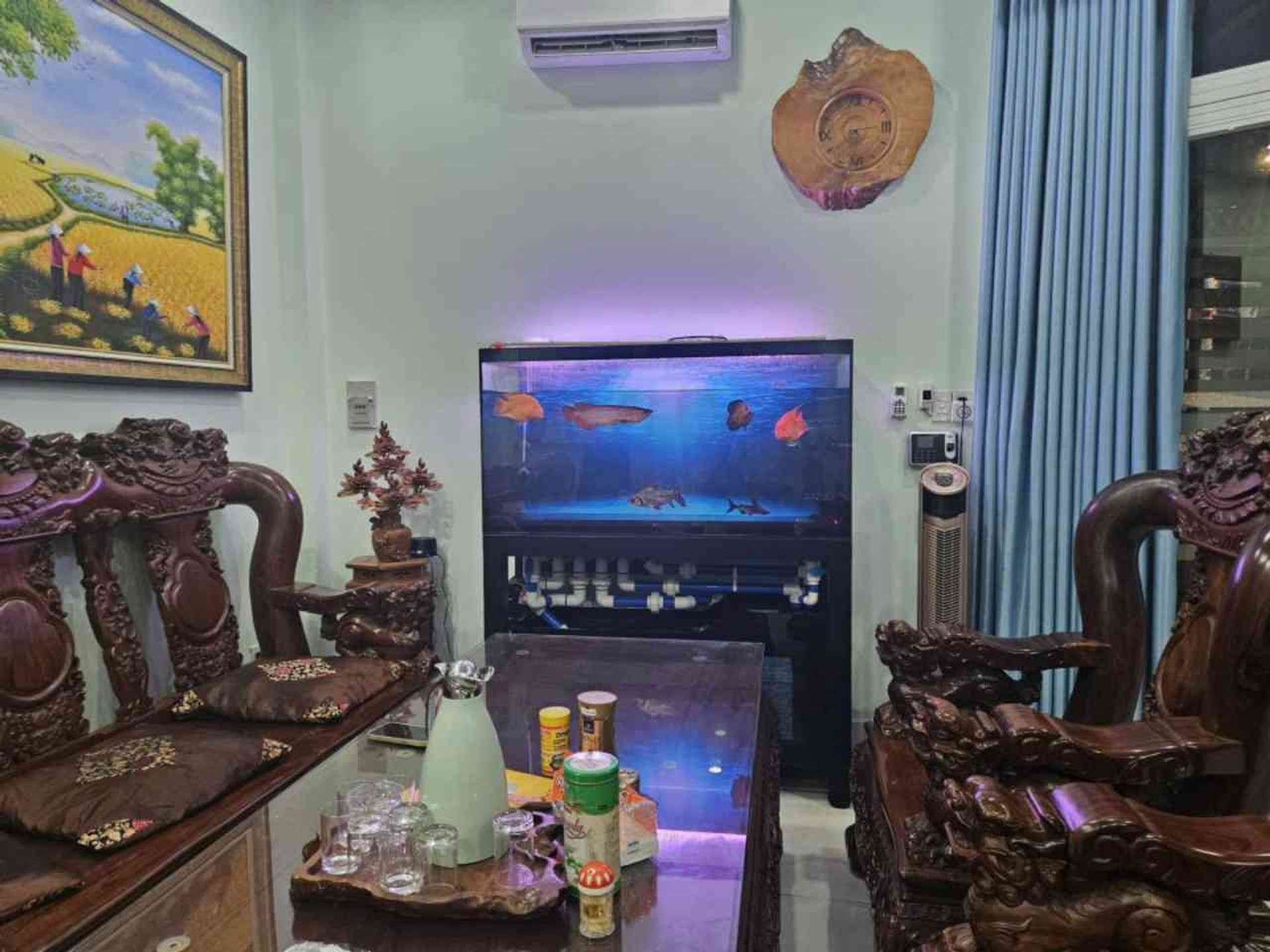 HXH Tân Kỳ Tân Quý, 95m2, ngang 9m, 4 tầng btct, tiện ở, làm văn phòng, Chỉ 11.5 tỷ TL