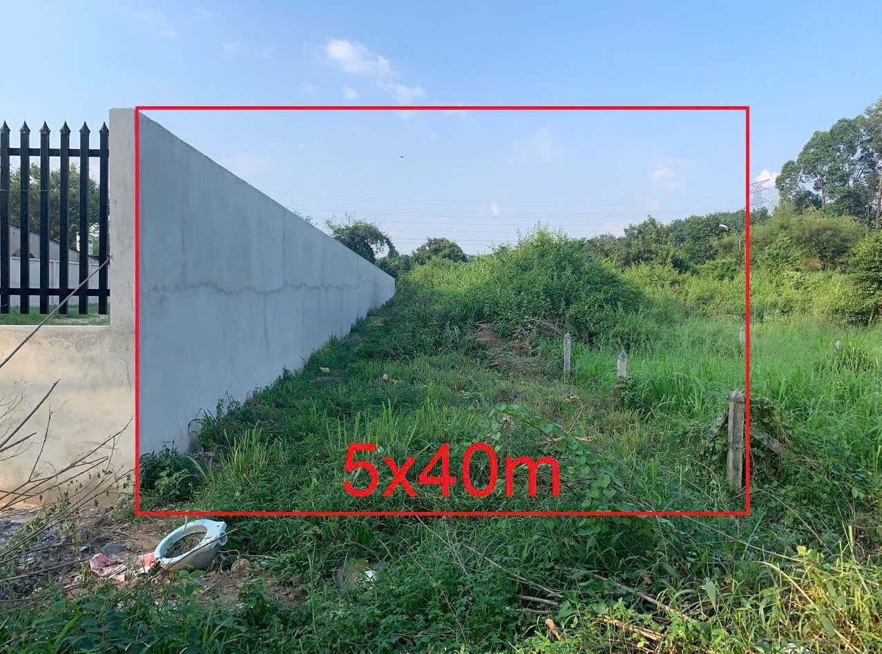 Giảm 500tr, bán 200m2 ( 5x40) mặt tiền đường Nhuận Đức, Củ Chi, 3 tỷ còn 2.5 tỷ