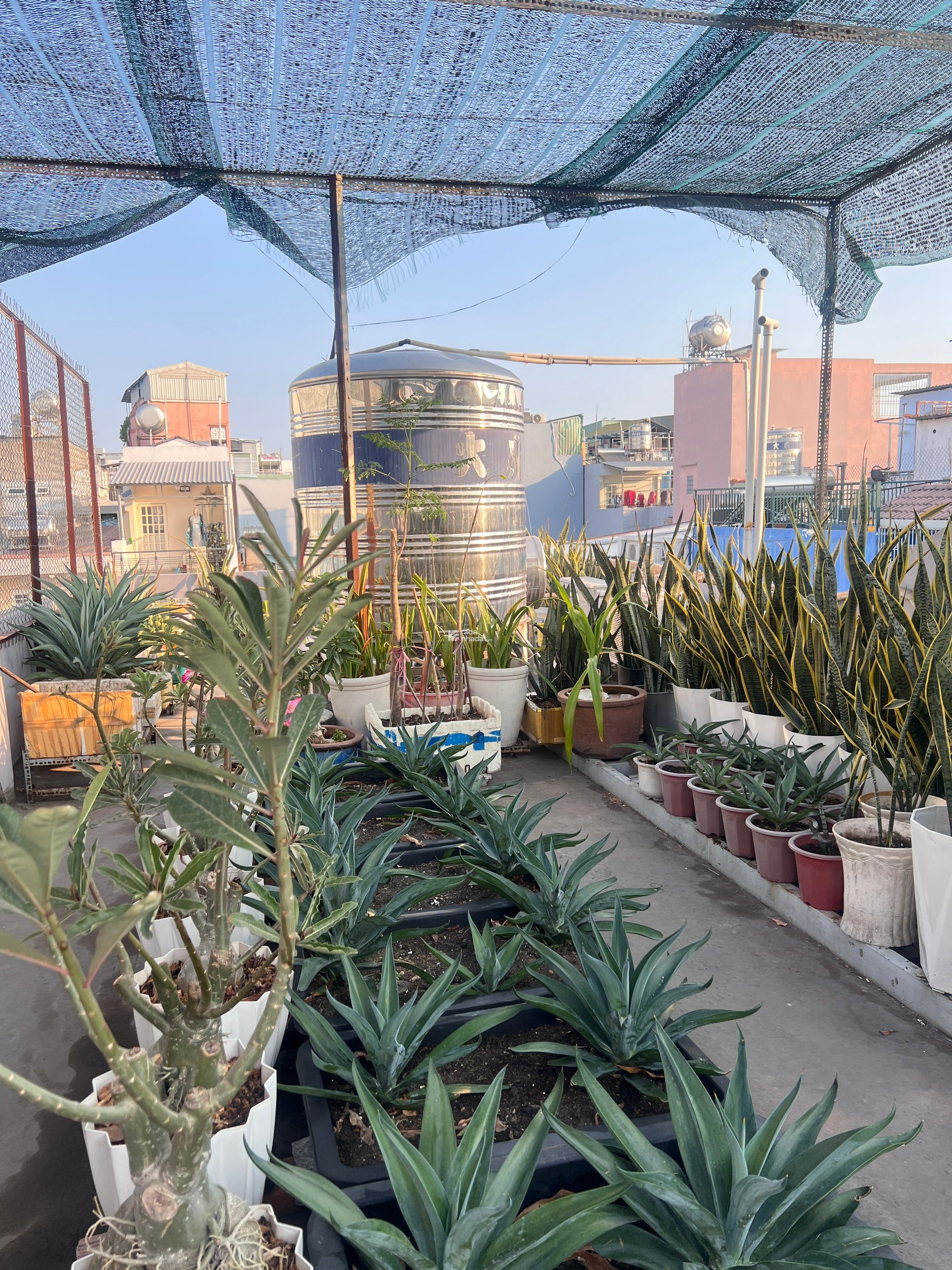 Bán biệt thự mini 2 lầu HXH gần chợ Rạch Ông Phường 2 Quận 8