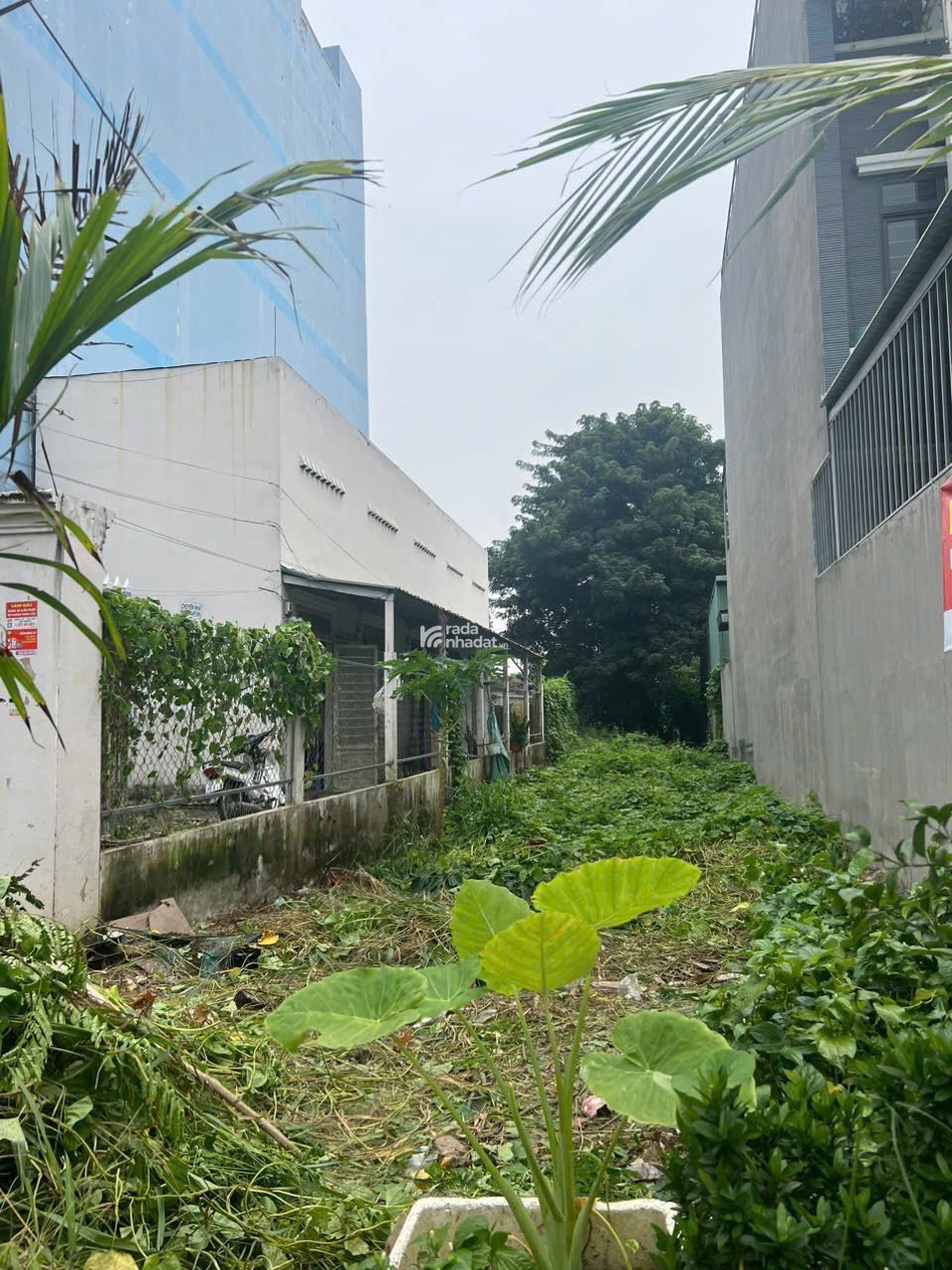  BÁN ĐẤT MẶT TIỀN HÀ HUY GIÁP, Q12 -  5x34M. 6.x Tỷ