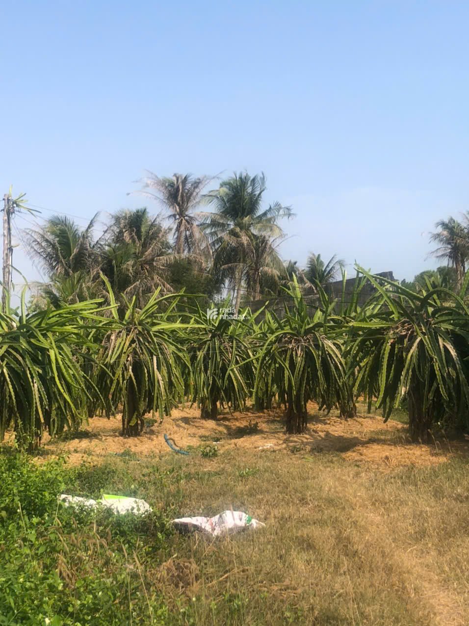 TP. PHAN THIẾT - BÁN ĐẤT THỔ CƯ CHÍNH CHỦ