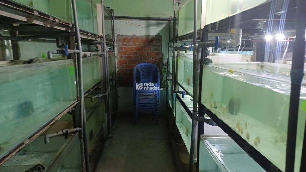 Nhà , đất  300m2,  gồm 3 căn nhà,  ngay Tân Nhựt,  Bình Chánh 