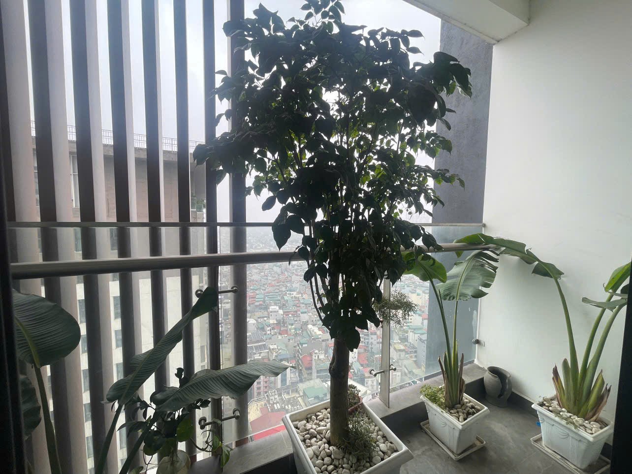 GIÁ SIÊU RẺ CƠ HỘI ĐỘC QUYỀN SỞ HỮU CĂN HỘ 3PN ĐẲNG CẤP TẠI BRG DIAMOND RESIDENCE 25 LÊ VĂN LƯƠNG