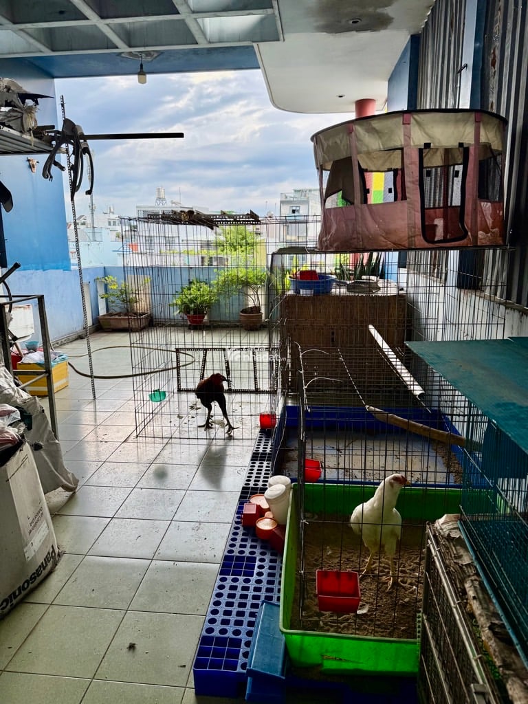 KHU TÊN LỬA- 4 TẦNG BTCT HOÀNG VĂN HỢP- AN LẠC BÌNH TÂN- DT: 4.7*19M- 11 TỶ