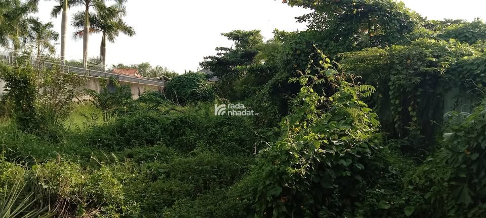 Bán đất Long Phước quận 9 -915m2, sổ đỏ - Vinhomes Grand Park quận 9