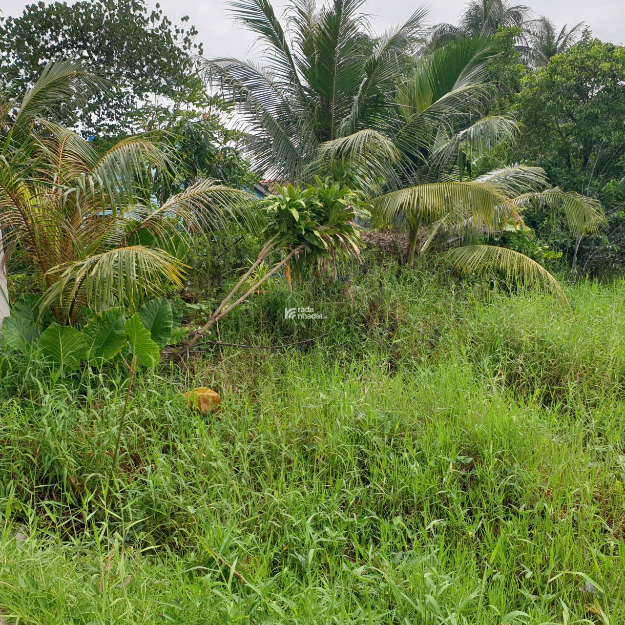 Đất mặt tiền đường bê tông rộng 4m,  cách Công viên Võ Văn Tần khoảng 3,5km