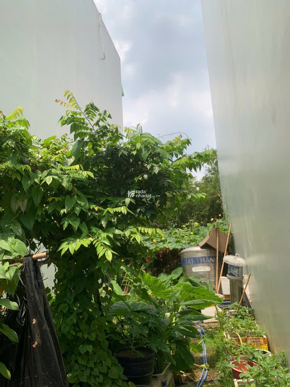 BÁN ĐẤT TRỐNG HXH 5M THÀNH THÁI QUẬN 10 -11 TỶ -4X17M