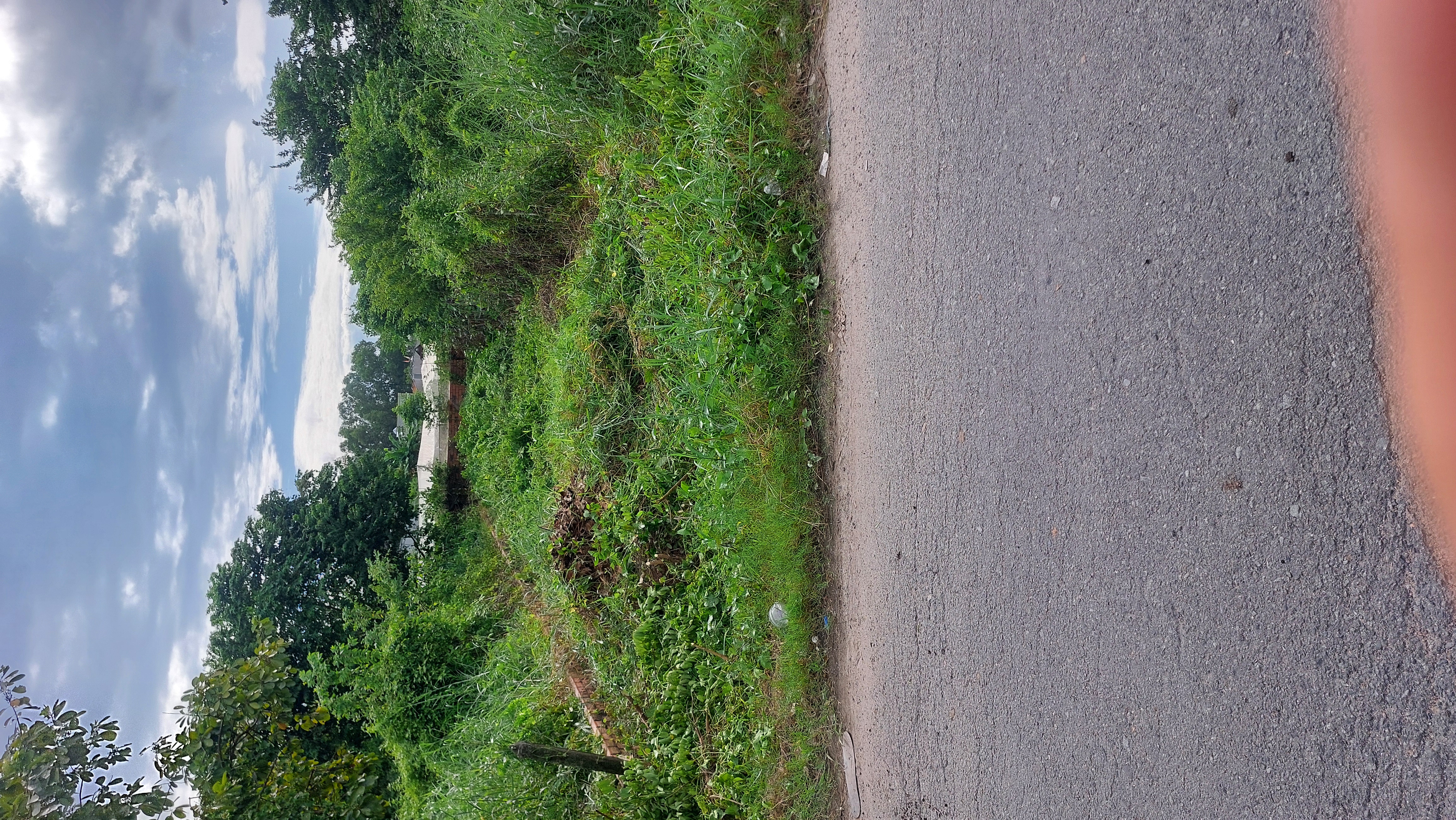 Đất Ngộp đường 460, Full thổ cư, đất ở hiện hữu, 5x25, giá chỉ hơn 2 tỏi