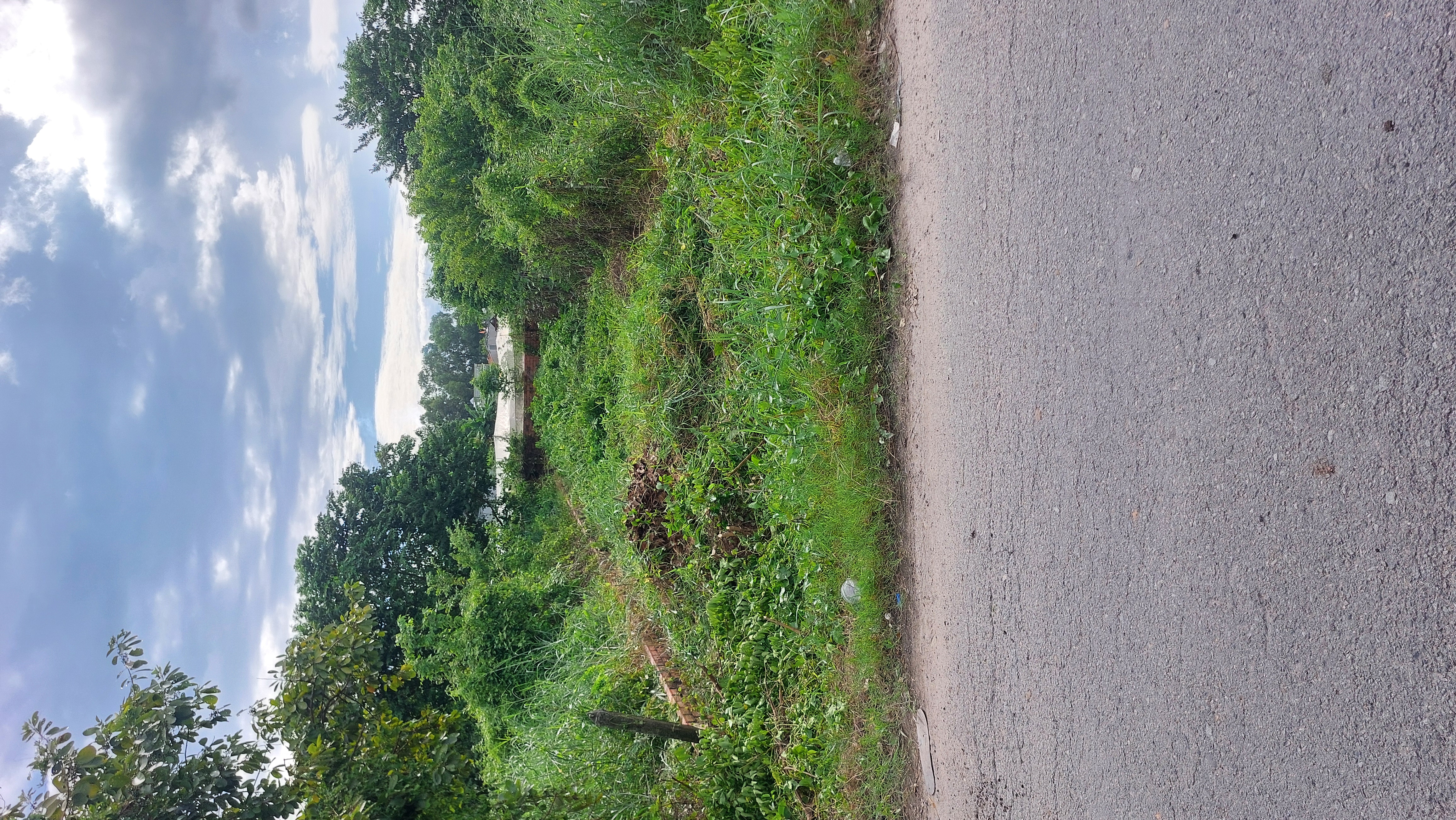 Đất Ngộp đường 460, Full thổ cư, đất ở hiện hữu, 5x25, giá chỉ hơn 2 tỏi