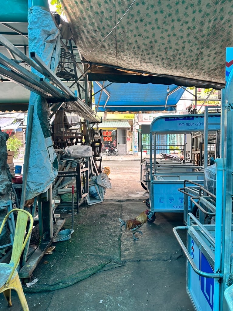 MTKD ĐẸP. PHẠM VĂN BẠCH, TÂN BÌNH, 130M2 CÓ KC Ở NGAY. GIẢM 350TR CHỈ CÒN 16.9T TL 
