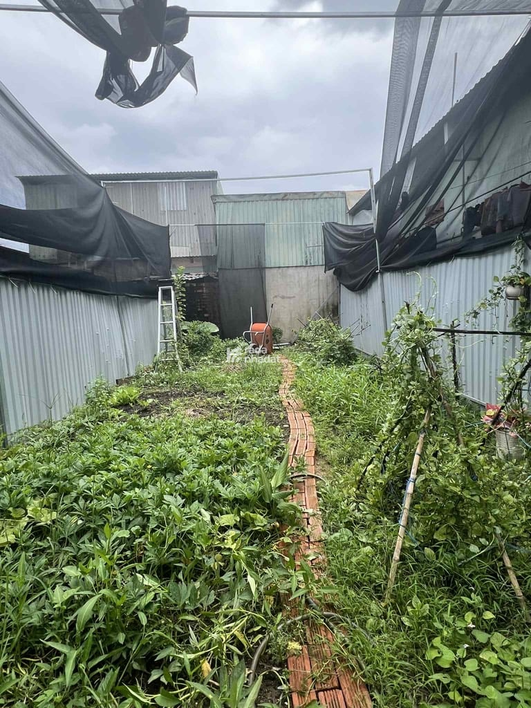 BÁN NHÀ ĐẤT TỈNH LỘ 10 87M2 5.3 TỶ BÌNH TÂN Ô TÔ TẢI GẦN CẦU TÂN TẠO