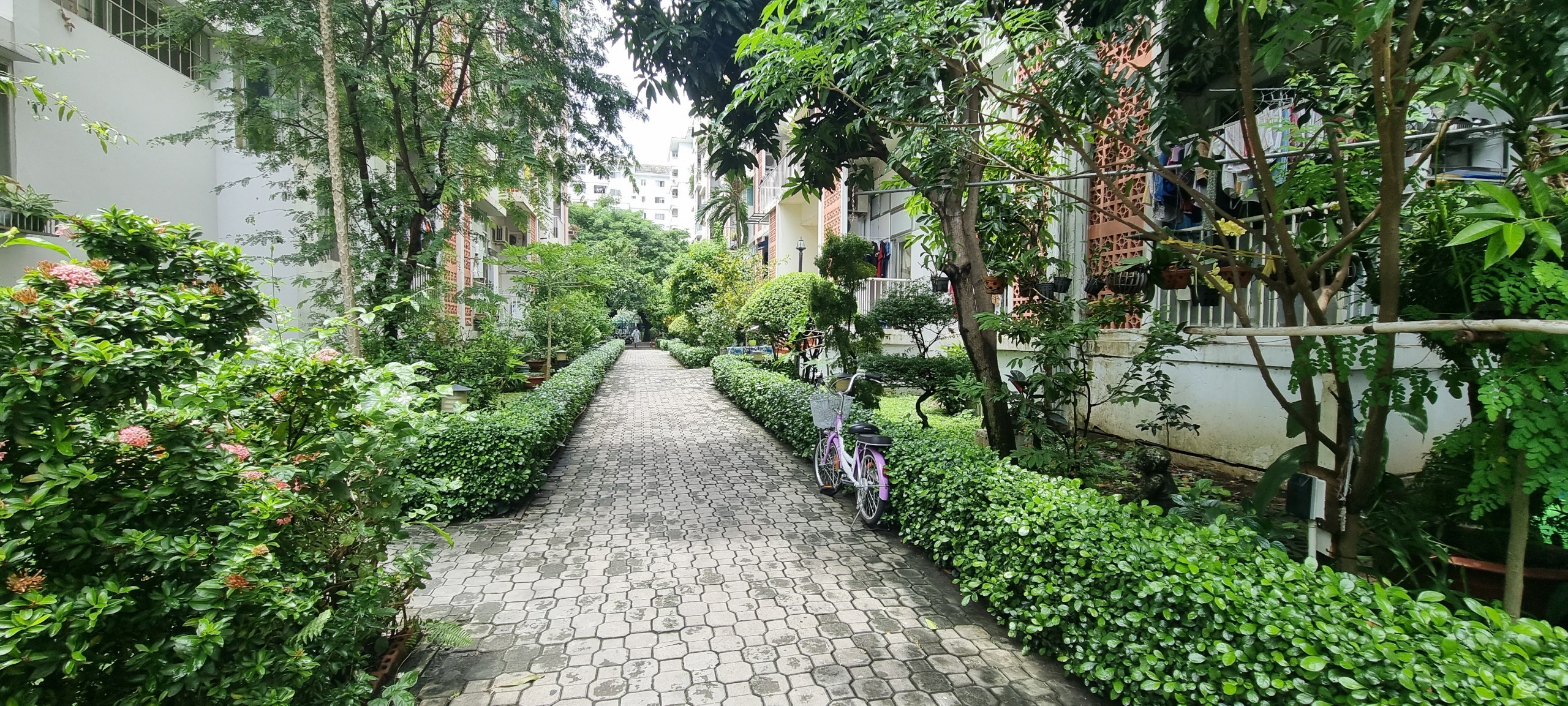 BÁN CĂN HỘ HƯNG VƯỢNG 1, SỔ HỒNG RIÊNG, PHÚ MỸ HƯNG QUẬN 7