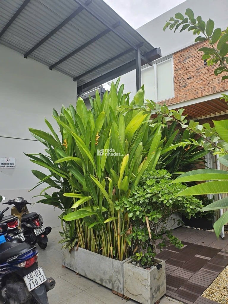 NGAY AEON TÂN PHÚ DT (12*17) ĐANG CHO THƯE 50TR