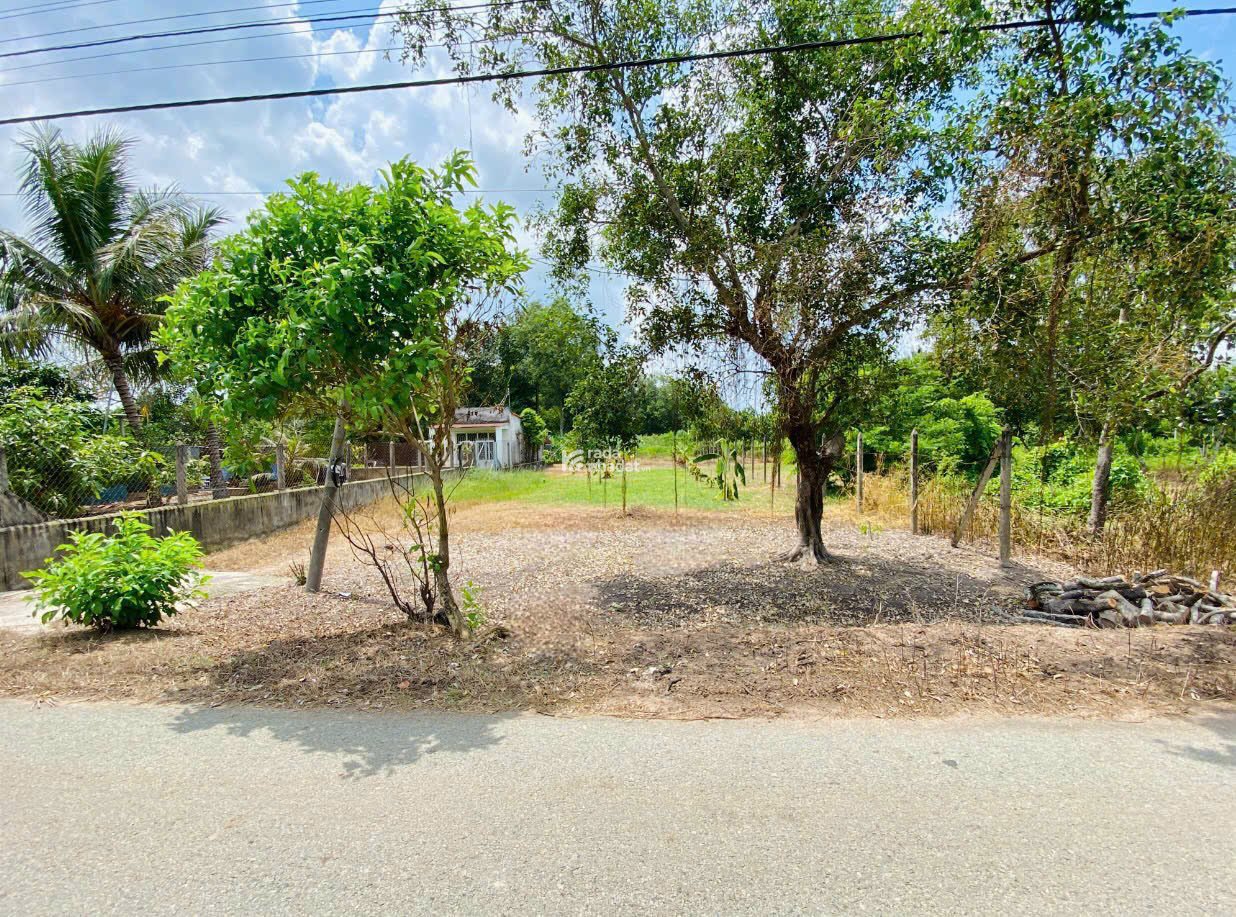 Gia đình chính chủ cần bán gấp lô đất ở Củ Chi 590trieu