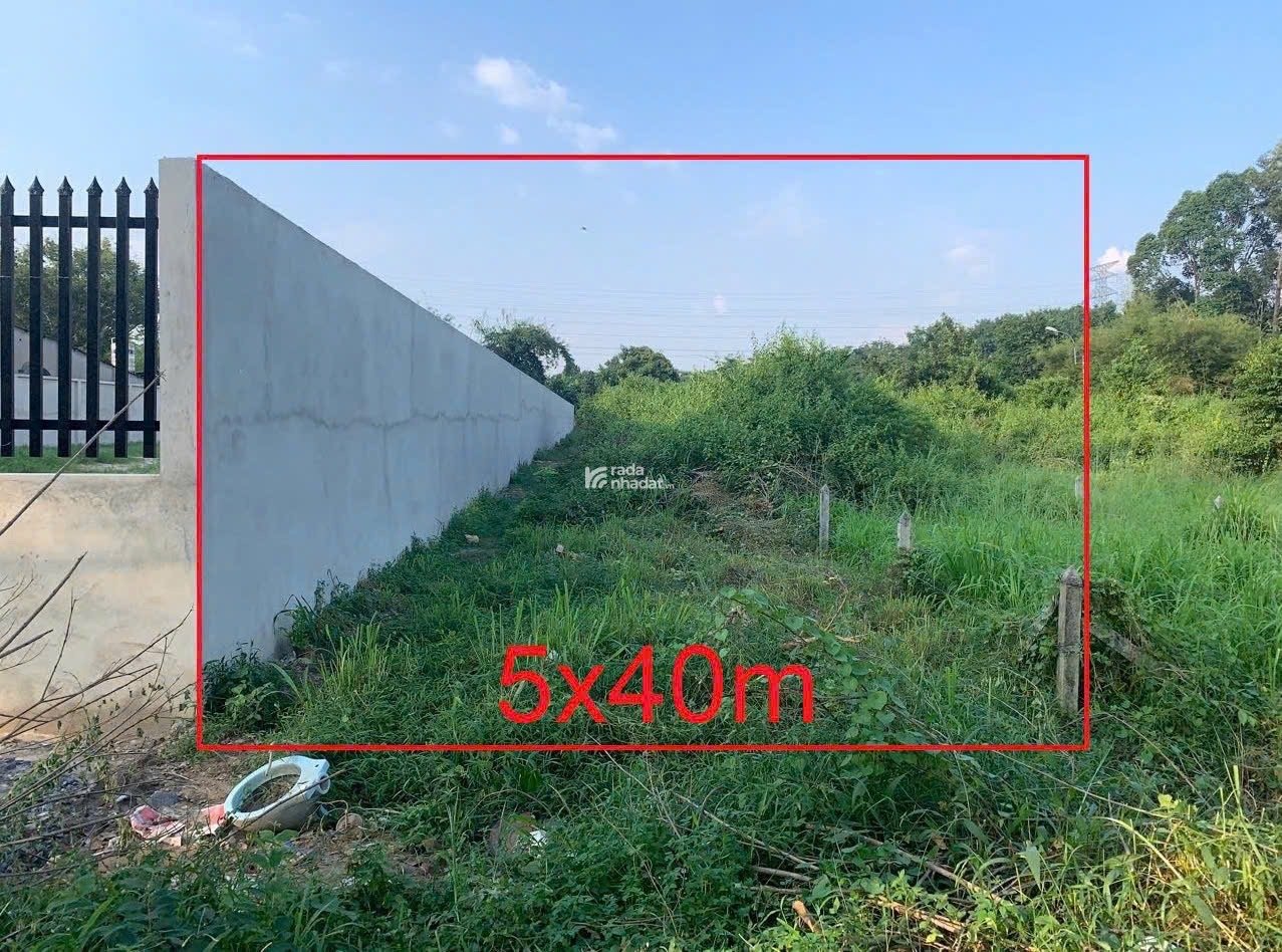 Giảm 500tr, bán 200m2 ( 5x40) mặt tiền đường Nhuận Đức, Củ Chi, 3 tỷ còn 2.5 tỷ