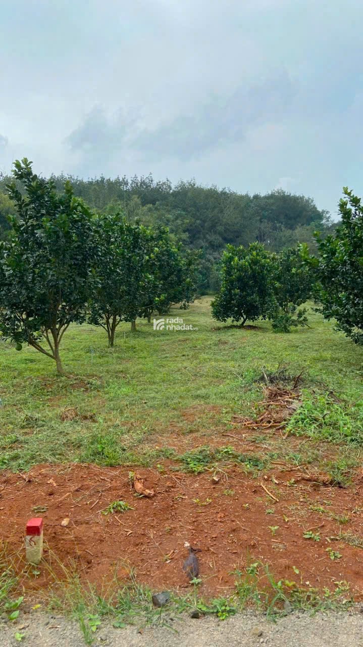 đất nền giá rẻ thích hợp để đầu tư