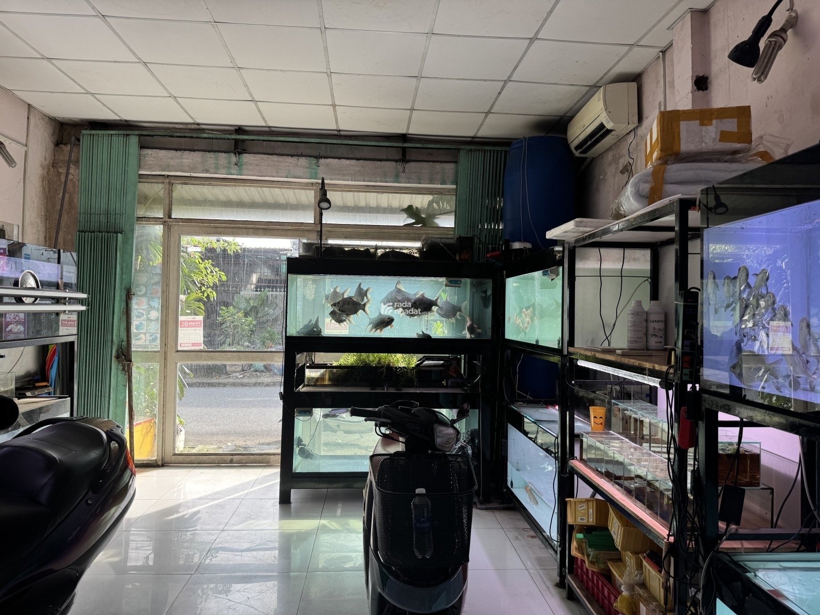 đường số 9 Mặt tiền Linh Xuân Thủ Đức