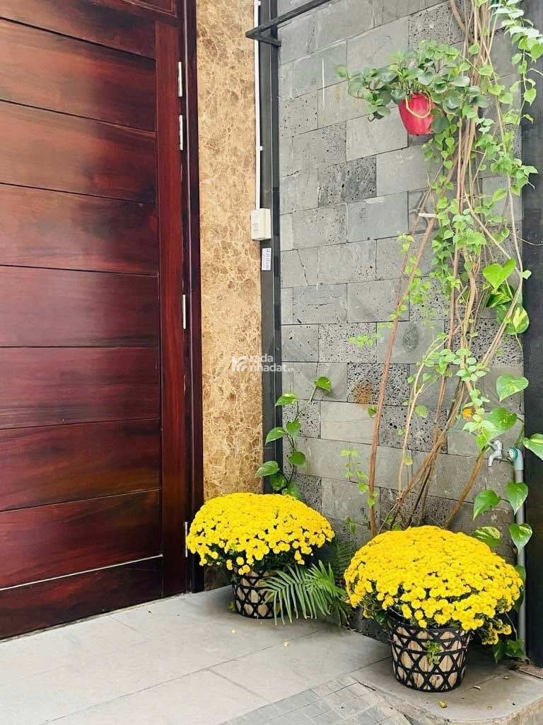 NGUYỄN PHI KHANH TÂN ĐỊNH  QUẬN 1