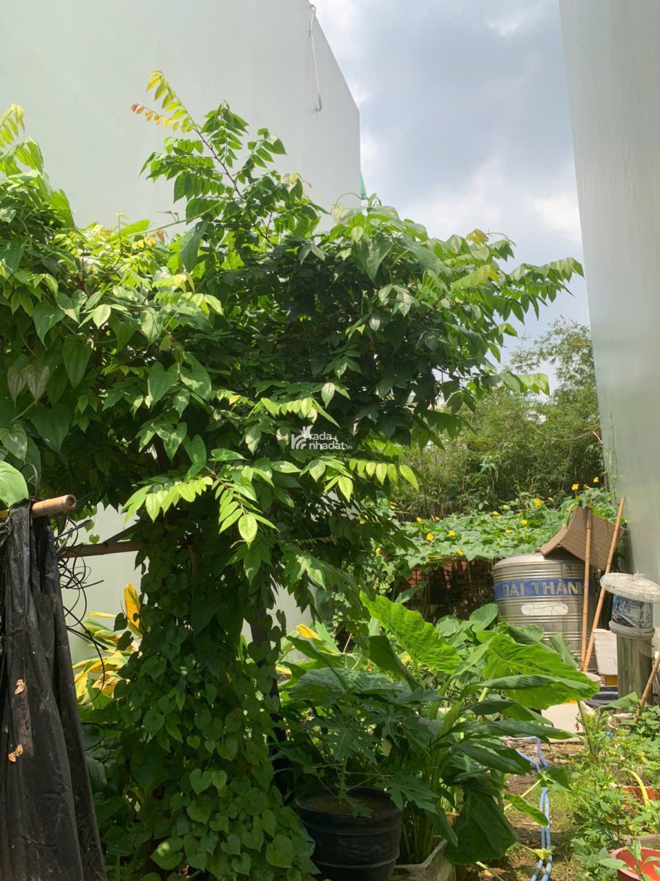 BÁN ĐẤT TRỐNG HXH 5M THÀNH THÁI QUẬN 10 -11 TỶ -4X17M