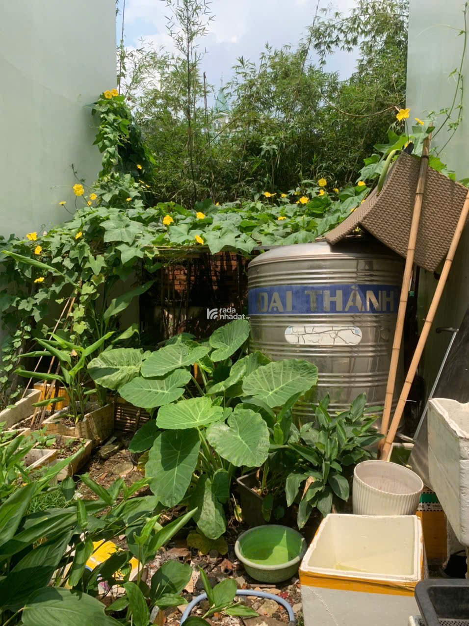 BÁN ĐẤT TRỐNG HXH 5M THÀNH THÁI QUẬN 10 -11 TỶ -4X17M