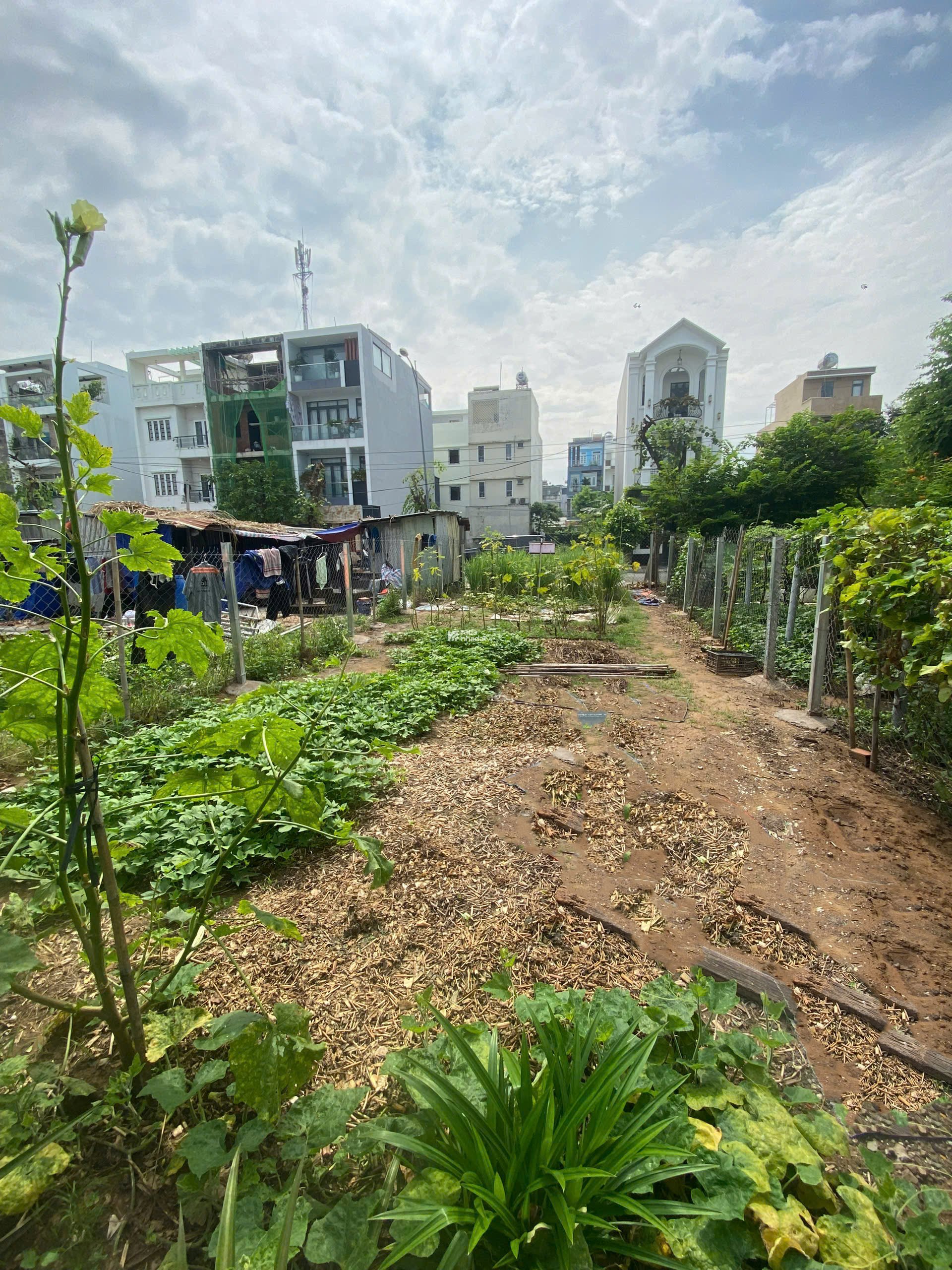 Bán lô đất mặt tiền đường Phạm Hy Lượng, P. Thạnh Mỹ Lợi, đường 12m.