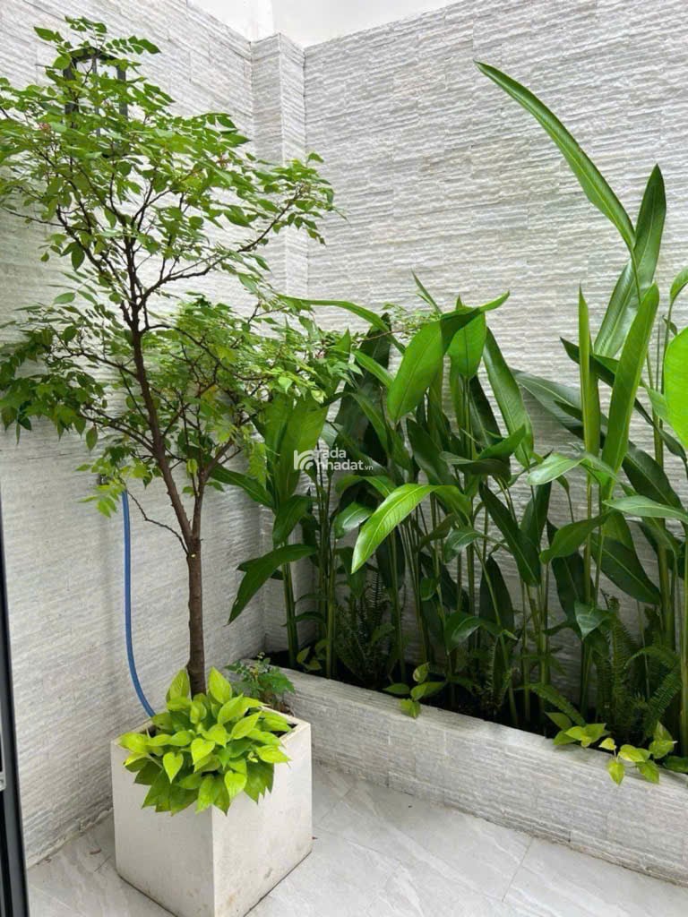 Bán nhà đường Nghĩa Phát, Phường 6, Tân Bình, Giá 3 tỷ 250, Diện tích 50m2 