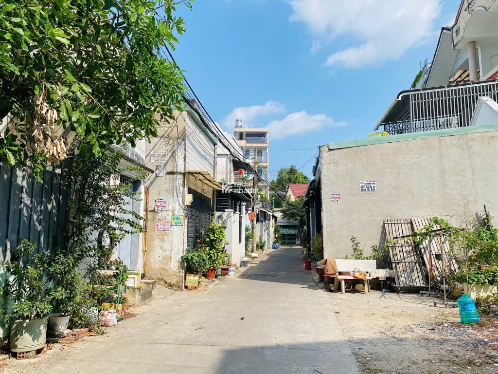 ĐƯỜNG XE HƠI 1 TRỤC - TƯƠNG LAI GIÁ TRỊ CAO