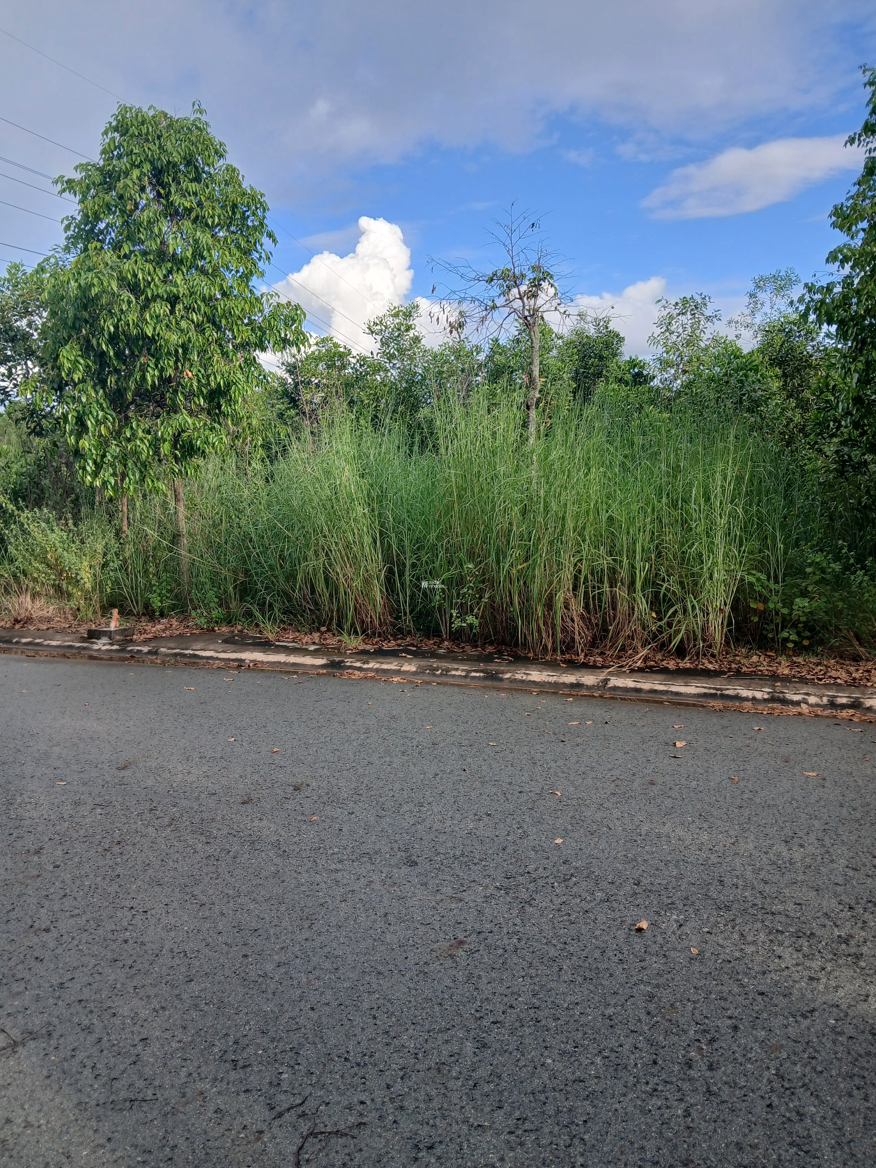 Bán lô đất mỹ phước 4, thới hòa , hồ chí minh ( bến cát cũ )