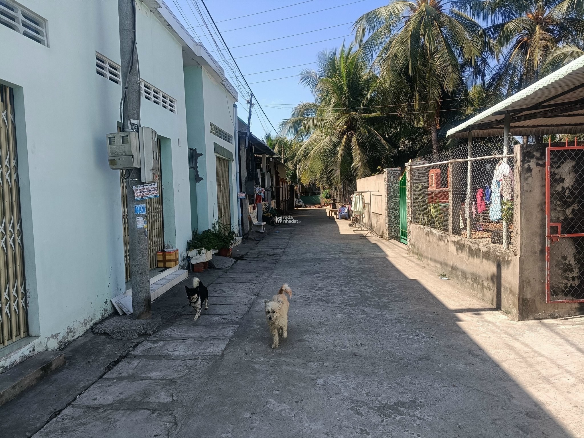 Bán đất ngay KCN Tân Hương - Tiền Giang bước qua cầu đến TP Tân An ngang 10m x 12m full thổ cư