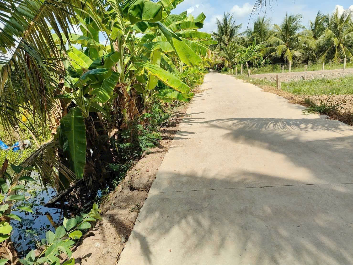 BÁN ĐẤT NỀN ĐẸP GIÁ RẺ TẠI ẤP HOÀ THẠNH XÃ BÌNH NINH HUYỆN CHỢ GẠO TỈNH TIỀN GIANG 
