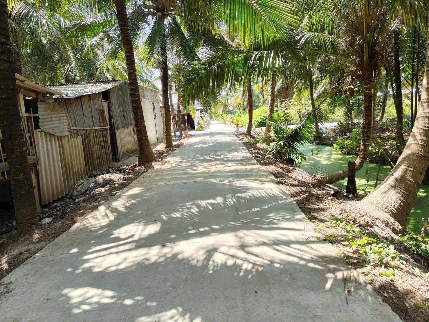 BÁN ĐẤT NỀN ĐẸP GIÁ RẺ TẠI ẤP HOÀ THẠNH XÃ BÌNH NINH HUYỆN CHỢ GẠO TỈNH TIỀN GIANG 