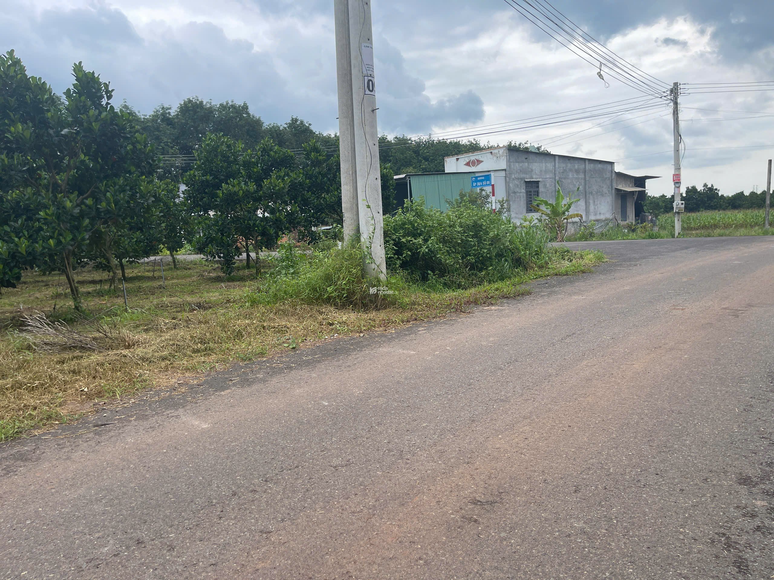 CẦN BÁN VƯỜN MÍT CÓ THỔ CƯ TẠI PHÚ GIÁO BÌNH DƯƠNG CHỈ 750 TRIỆU