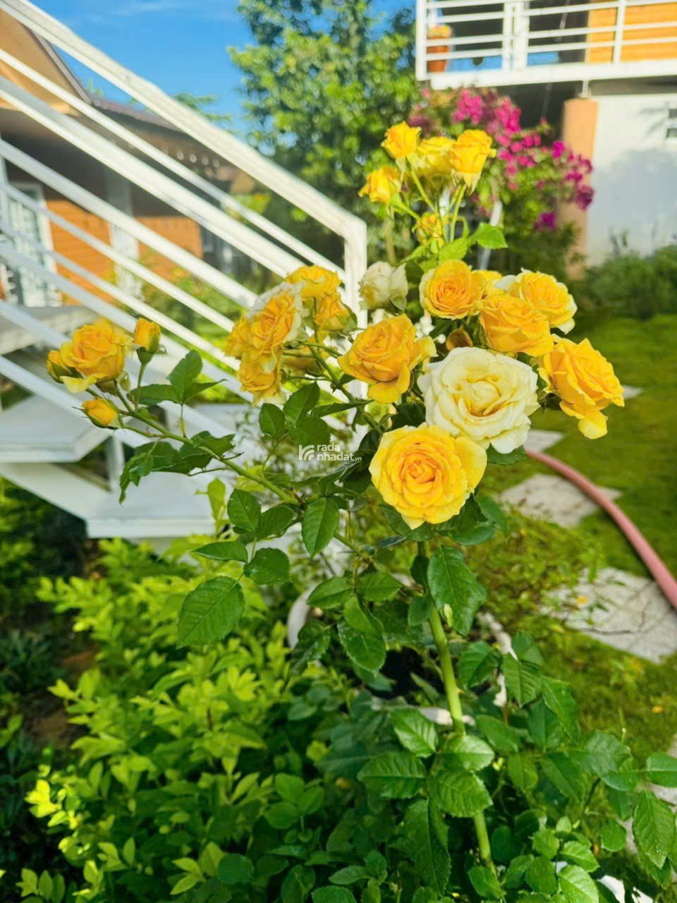 TÂN SƠN NHÌ,TÂN PHÚ - HẺM XE TẢI- NHÀ MỚI 43M-NHINH 6T