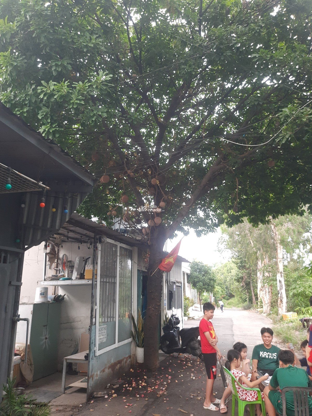 Căn nhà nhỏ tài chính nhỏ phù hợp với chính ít, nhưng tiện ích sinh hoạt đầy đủ.