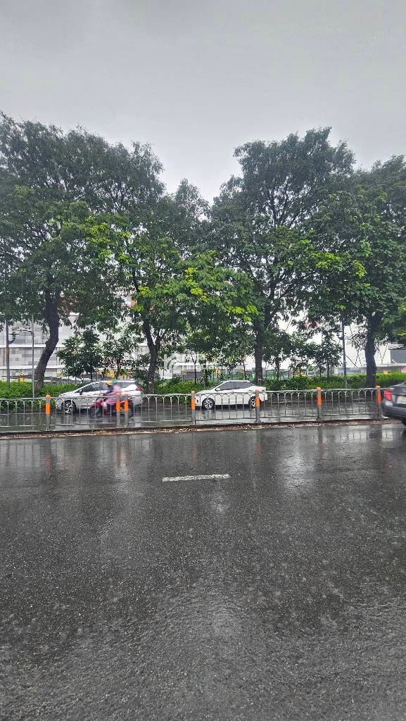 NGAY CELANDON. BỜ BAO TÂN THẮNG, TÂN PHÚ, 50M2 CÓ KC Ở NGAY, GIẢM 450TR CHỈ 22.5T TL 