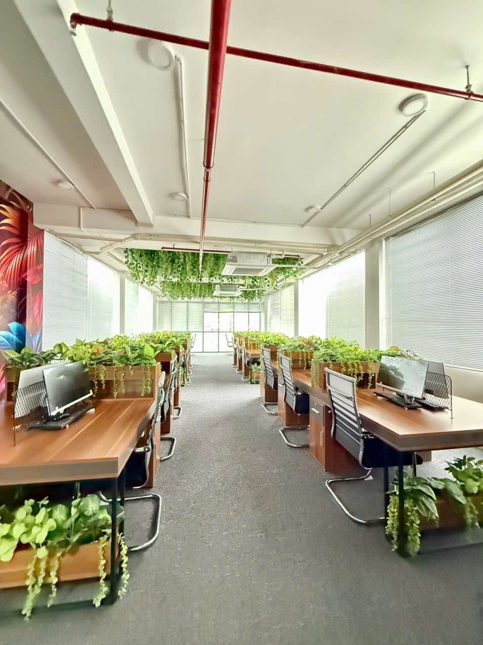 BUILDING 8 TẦNG THANG MÁY - 1130m2 SÀN MẶT TIỀN BÙI HỮU NGHĨA - DOANH THU 2.6 TỶ/NĂM
