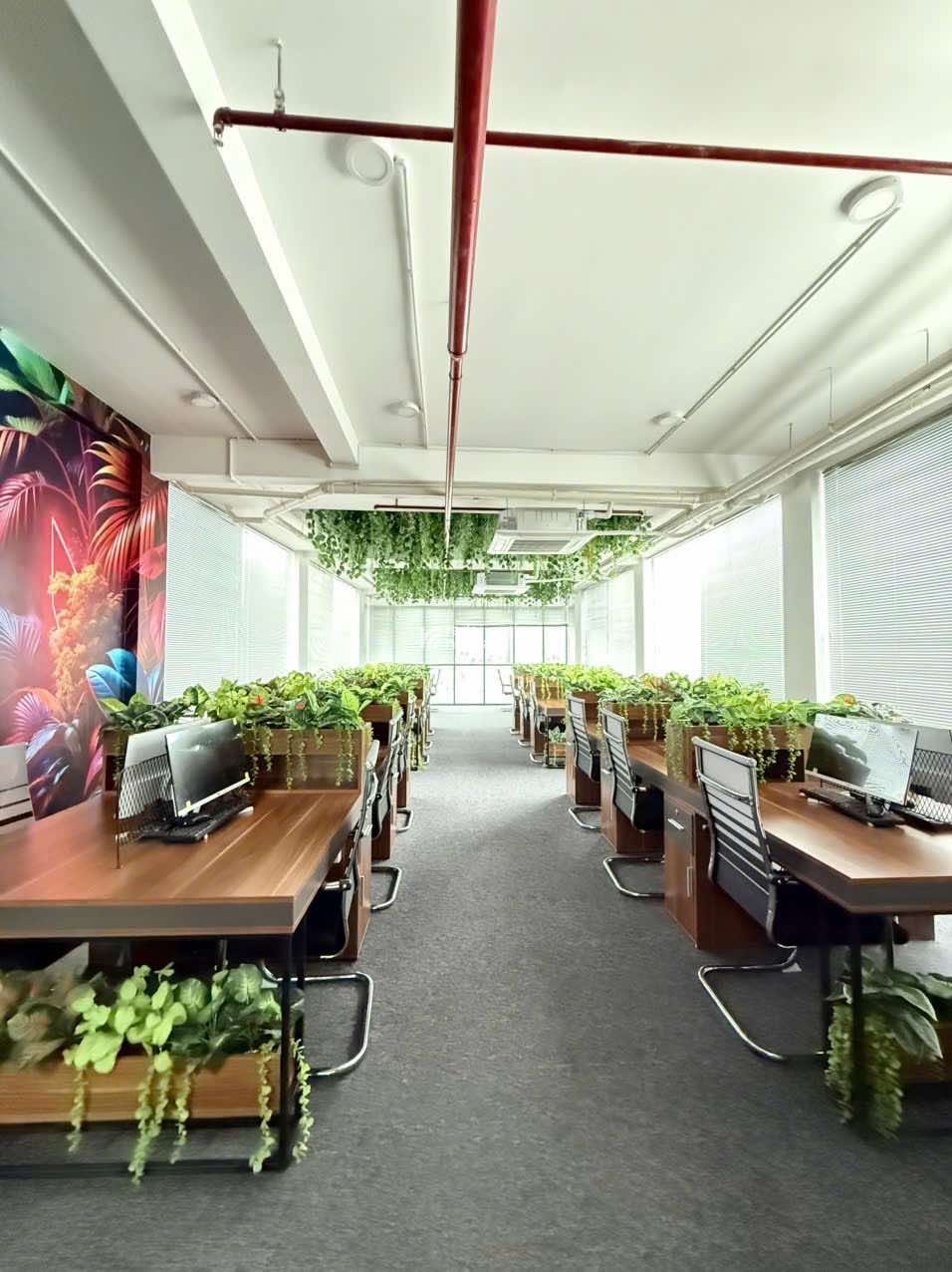 BUILDING 8 TẦNG THANG MÁY - 1130m2 SÀN MẶT TIỀN BÙI HỮU NGHĨA - DOANH THU 2.6 TỶ/NĂM