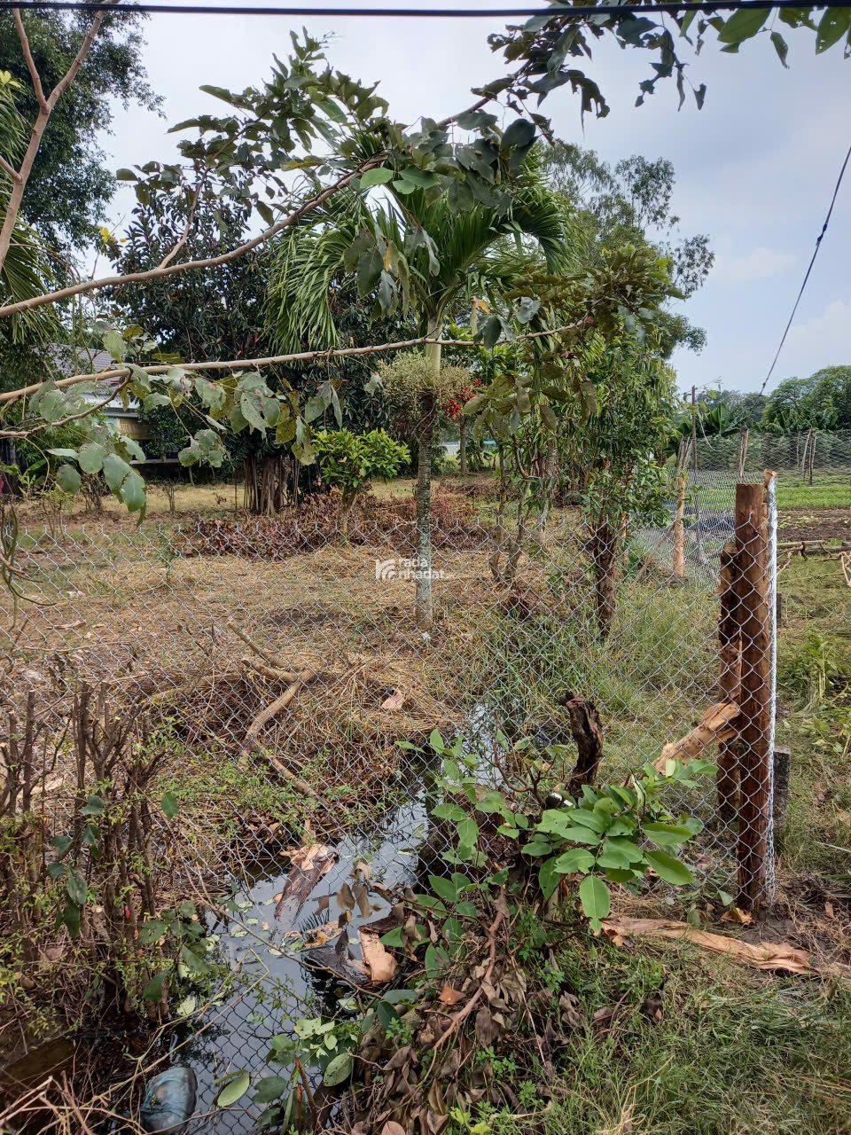 Bán đất địa thế đẹp, giá hời tại Lộc Ninh, (5 triệu / m2) 1700 m2