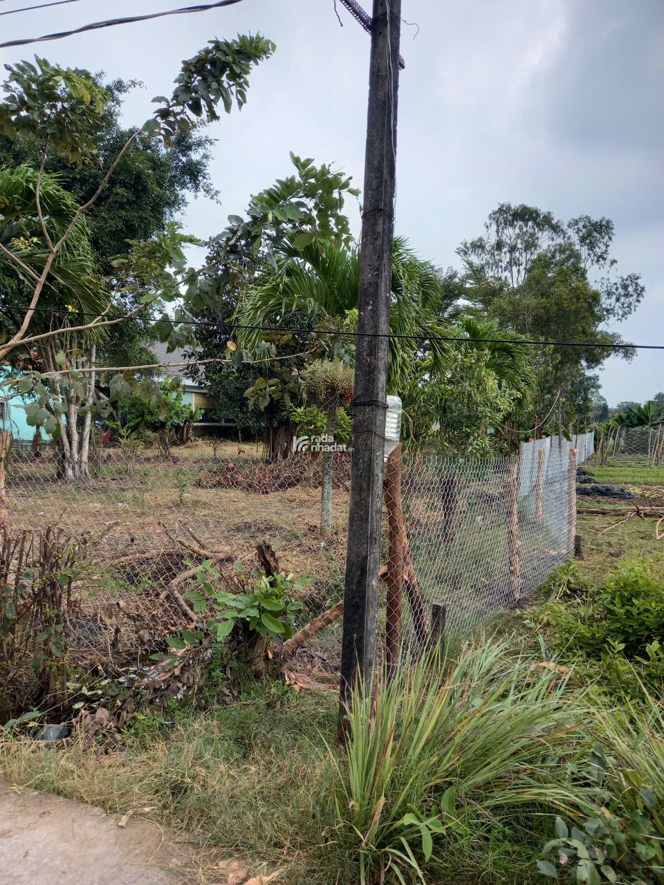 Bán đất địa thế đẹp, giá hời tại Lộc Ninh, (5 triệu / m2) 1700 m2