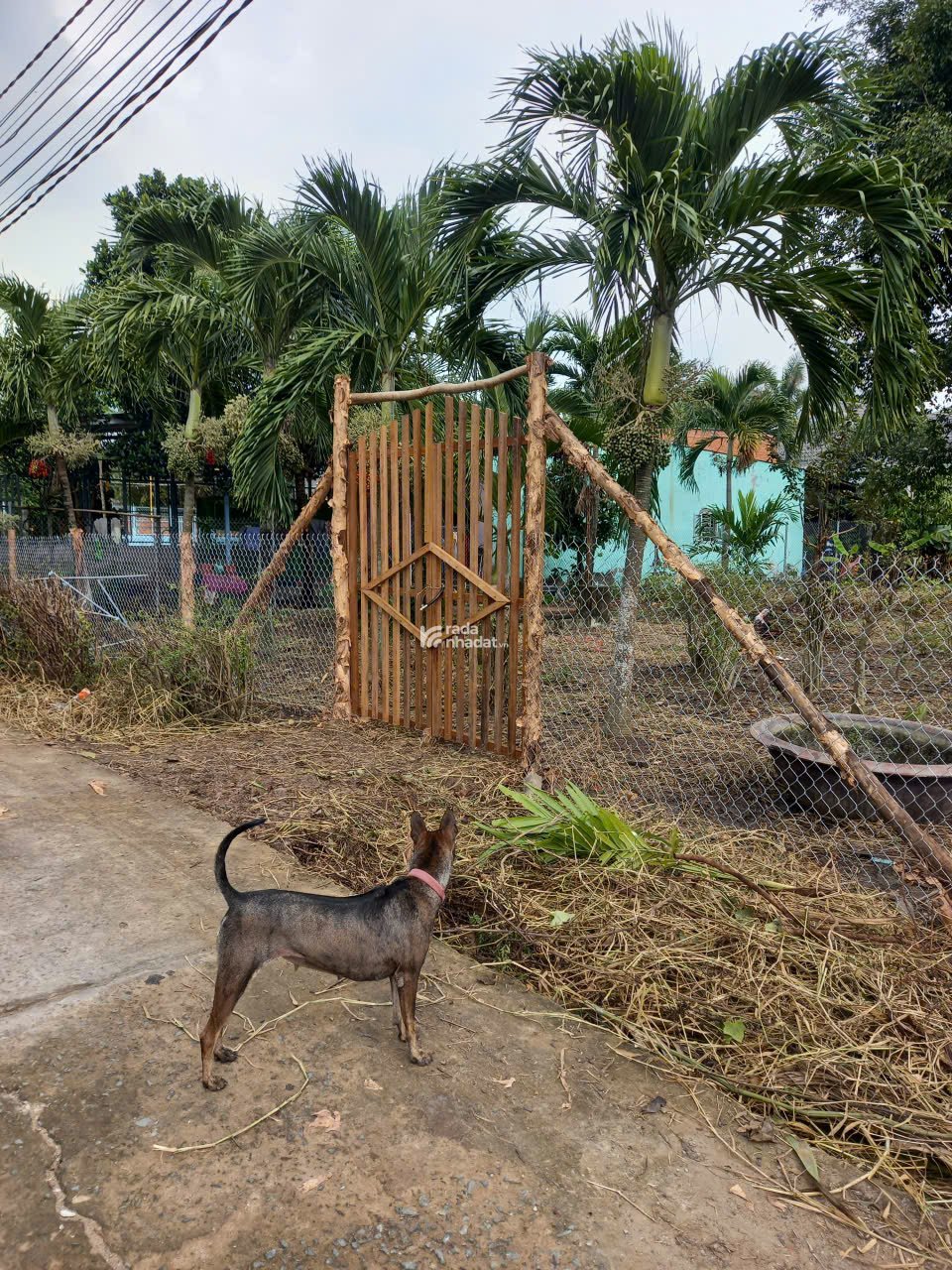 Bán đất địa thế đẹp, giá hời tại Lộc Ninh, (5 triệu / m2) 1700 m2